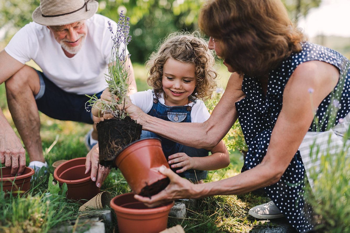 Financial Legacy and Wealth Estate Planning | Secure Planning
