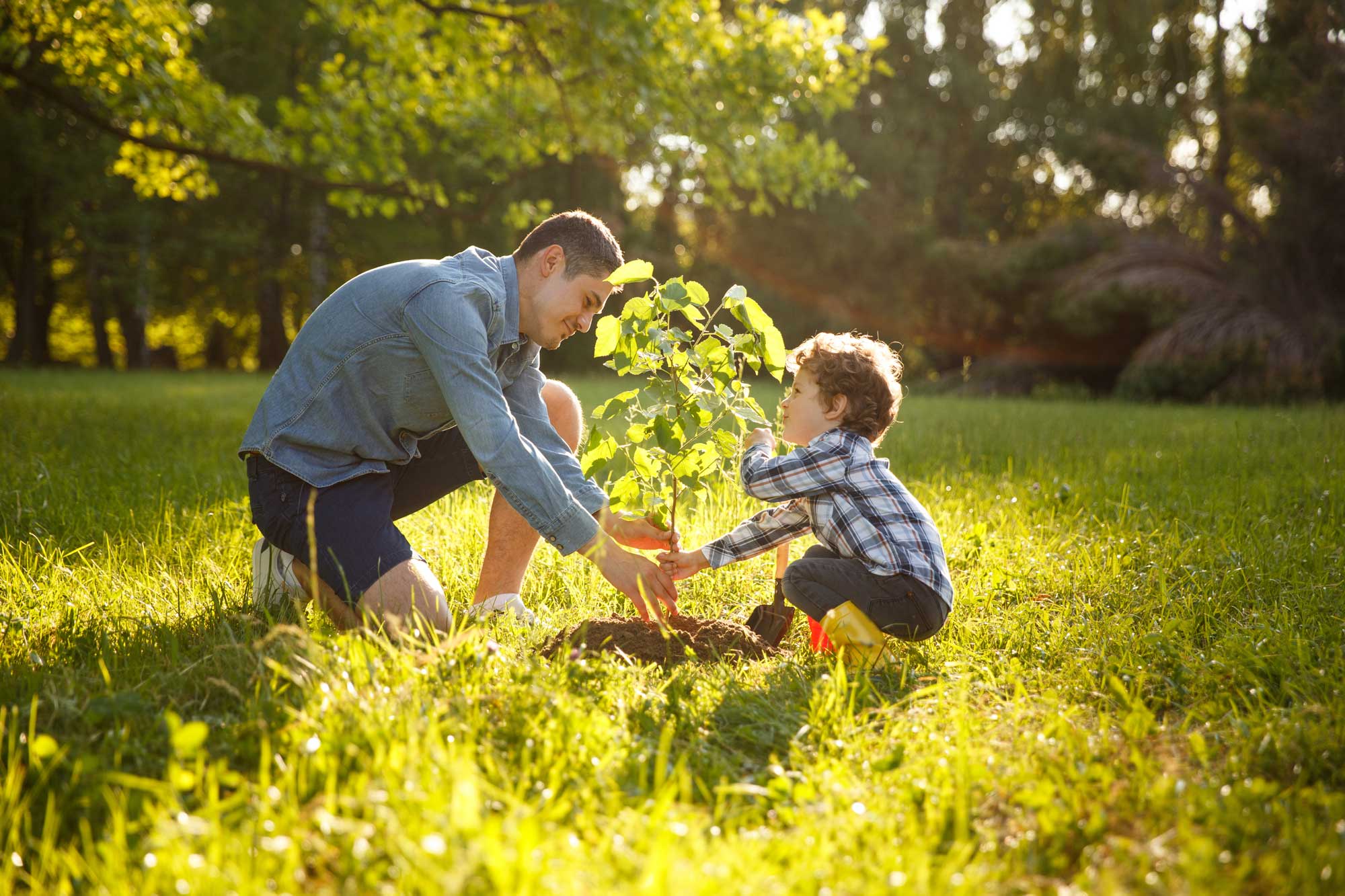Who We Serve Our Financial Wealth Services | Secure Planning
